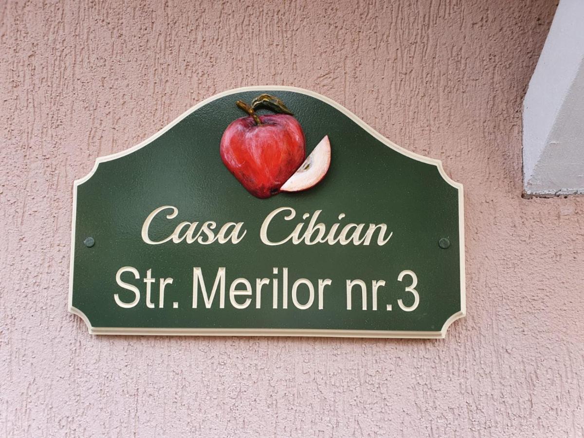Apartamento Casa Cibian Braşov Exterior foto